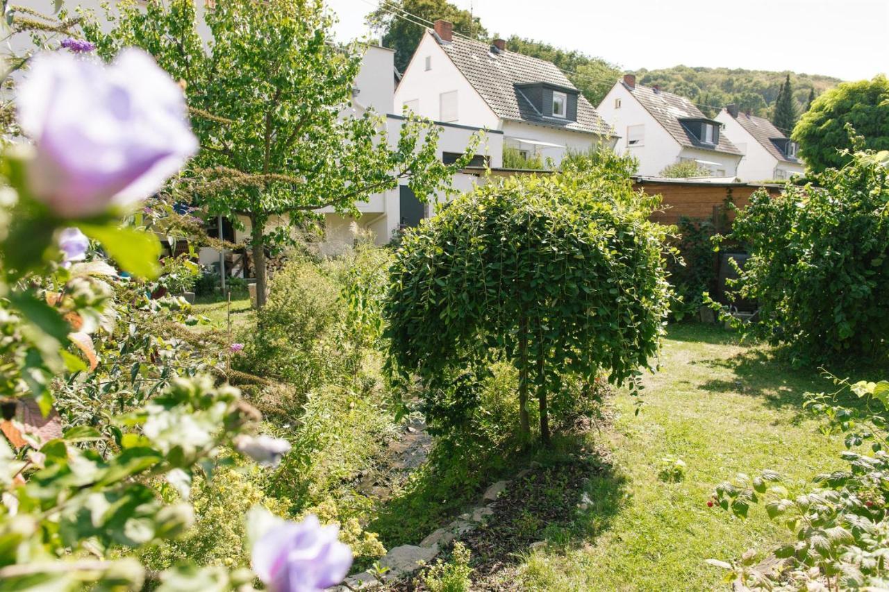 Ferienwohnung Am Breyer Talbach מראה חיצוני תמונה